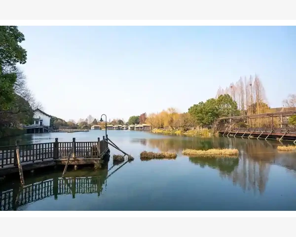 中医治咳嗽化痰：嗓子发炎不再烦扰，告别咳嗽病症的秘诀揭秘！