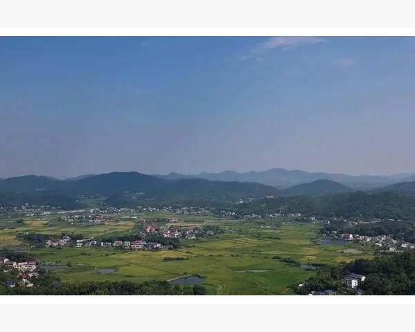 夏季大暑养生